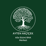 Application icon